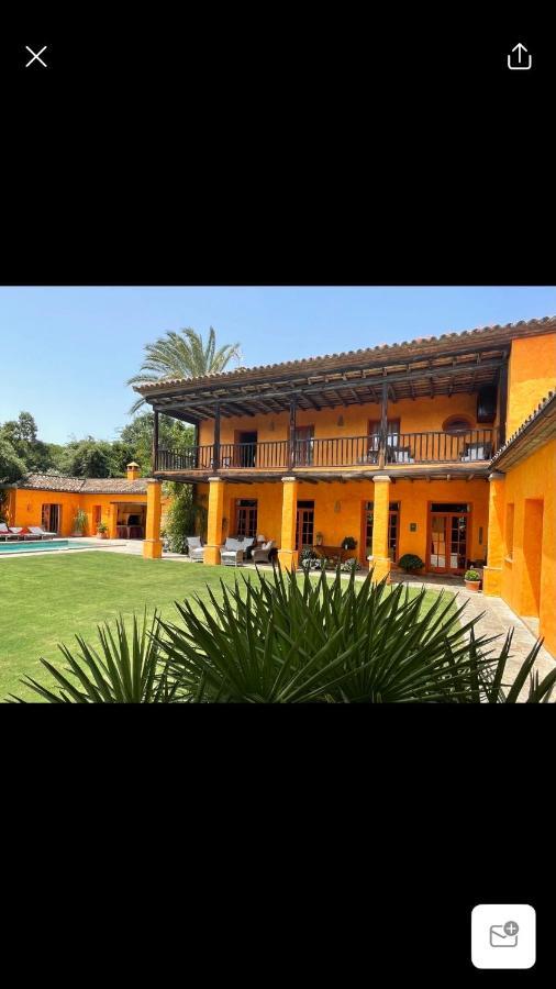 Bed and Breakfast La Dulcinea à Sotogrande Extérieur photo
